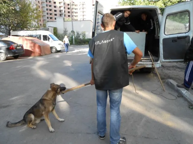 Англійські зоозахисники подарували обладнання для вилову тварин комунальному підприємству  "Ласка" — фото 3