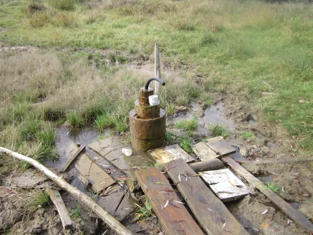 Волинські волонтери разом із Самообороною прибирали санаторій “Журавичі” (ФОТО) — фото 1