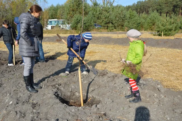 Як у Луцьку Євроклубівці садили дерева (ФОТО) — фото 1