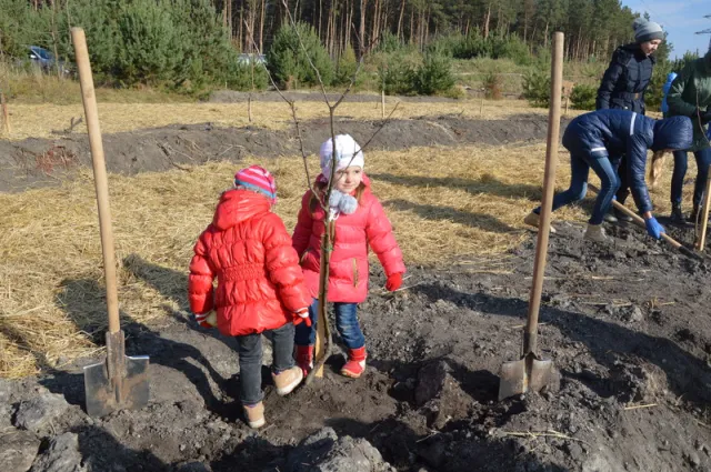 Як у Луцьку Євроклубівці садили дерева (ФОТО) — фото 2