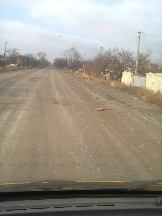 " В повітрі відчувався запах війни", - спогади автомайданівців про поїздку в Піски — фото 7