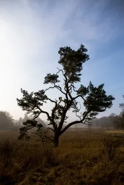 У Луцьку езпозиція робіт шведського фотохудожника — фото 2