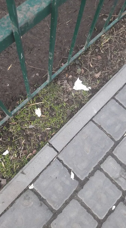 У Луцькому зоопарку мало не вбили самку альпаки — фото 1