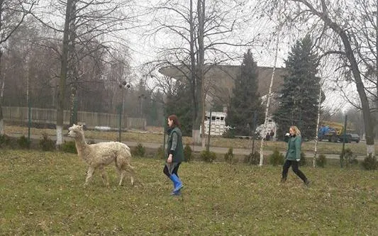 Відвідувачам Луцького зоопарку заборонили годувати тварин — фото 3