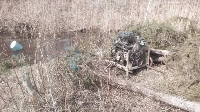 Волинські лісівники виявили ще одне місце незаконного добування бурштину — фото 1