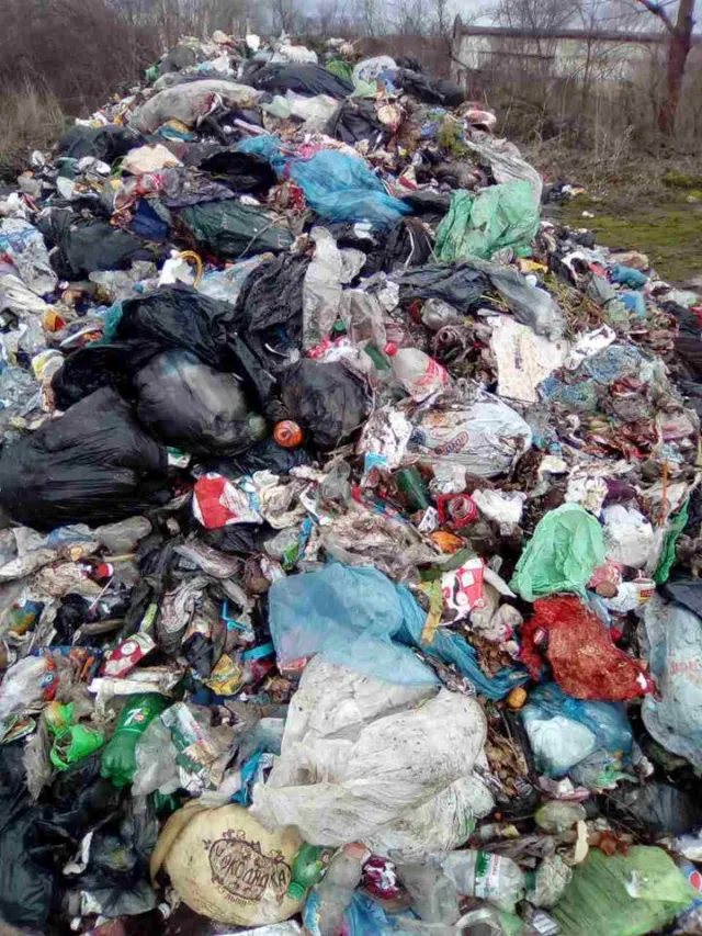 Неподалік Луцька виявили сміття зі Львова — фото 1