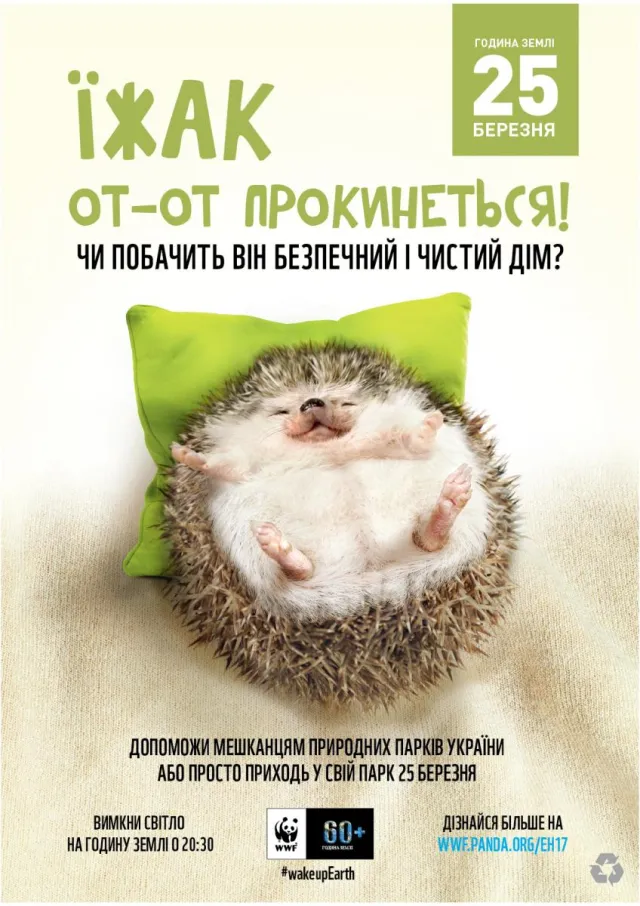 Лучан закликають приєднатися до «Години Землі» — фото 1