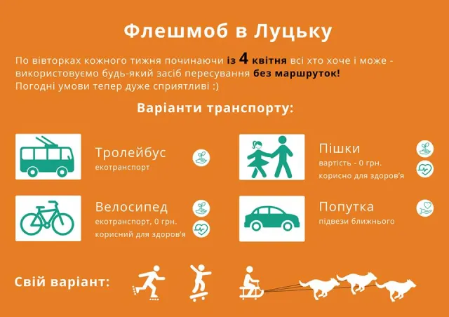 Лучанин ініціює «антимаршрутковий» флешмоб — фото 1