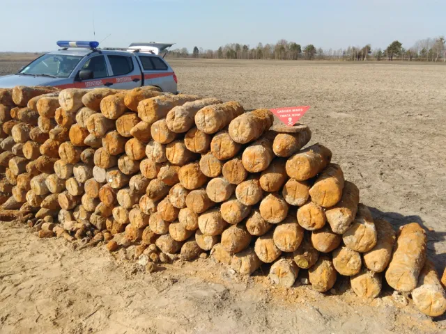 На Волині виявлено 10 тонн німецьких боєприпасів — фото 3